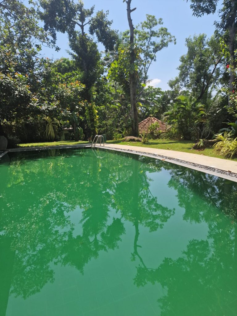 Phoenix-Retreat-Sri-Lanka-Holiday-Home-in-HikkaduwaWA0002